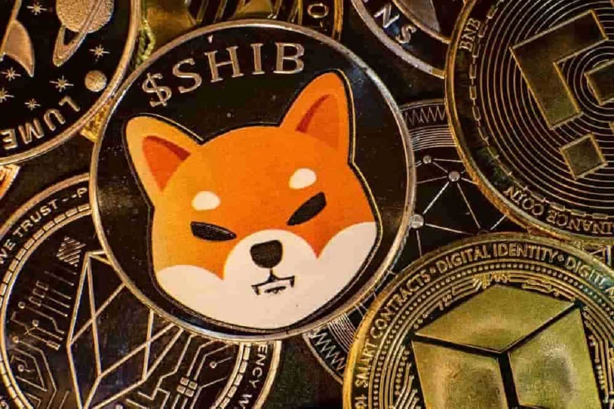 Shiba's main goal is to create the best Decentralized Ecosystem on the planet Shiba's main goal is to create the best Decentralized Ecosystem on the planet